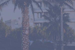 Buildings behind palm trees image