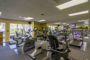 Workout gym with treadmills image